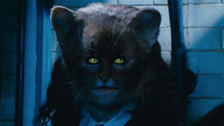 Which creature is Hermione's cat mixed with?