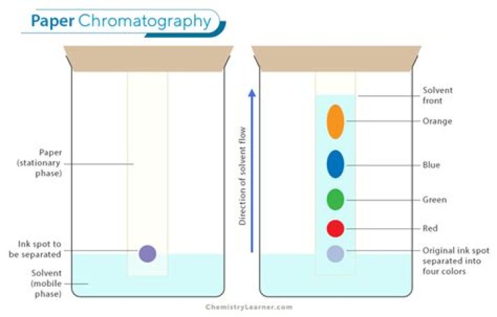 Which is are the terms associated with chromatography