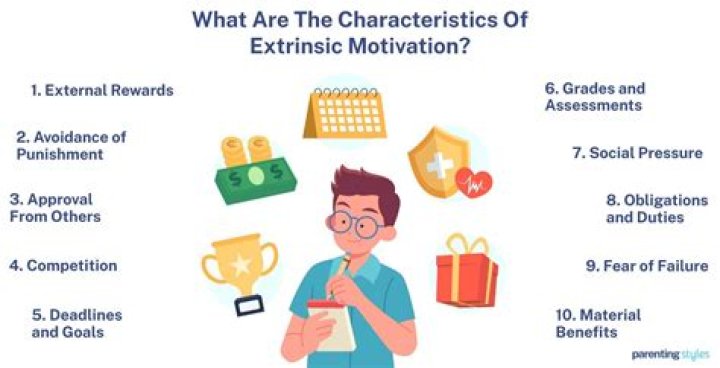 Which of the following is considered an extrinsic motivator