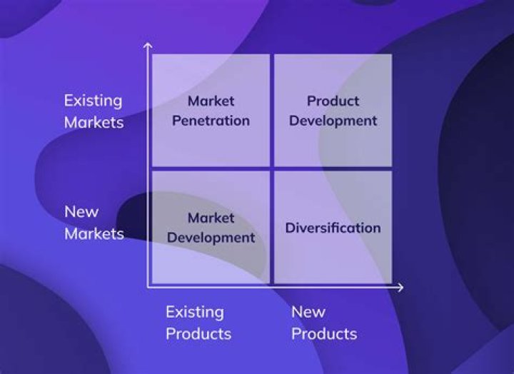 Which strategy in the ansoffs Product Market Growth Matrix is the riskiest