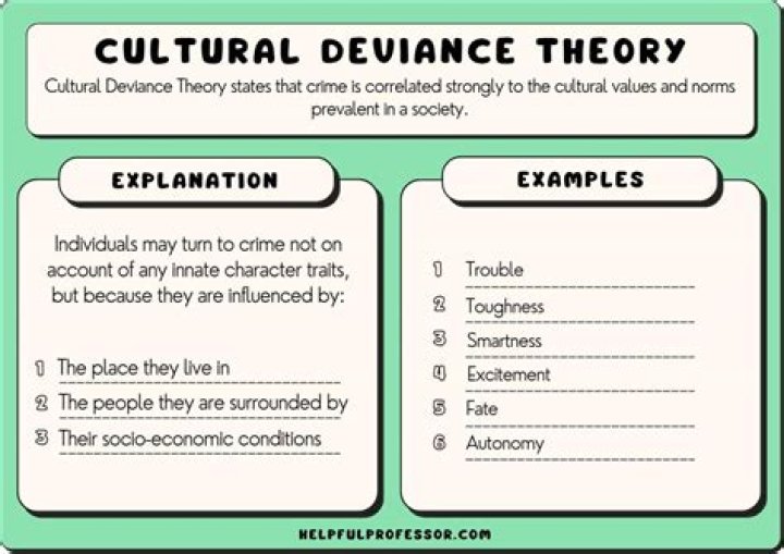 Which theorist believed that because deviance and crime have existed in all societies at all times and in that sense are normal they must have positive functions for the larger society and its structures