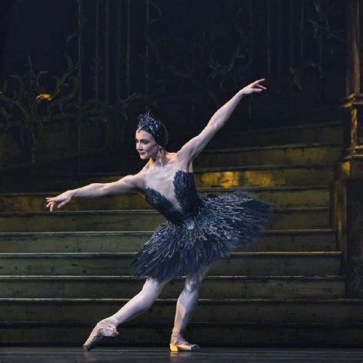 Who is the Black Swan in Swan Lake