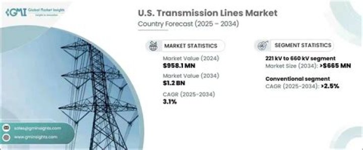 Who owns transmission lines in Texas