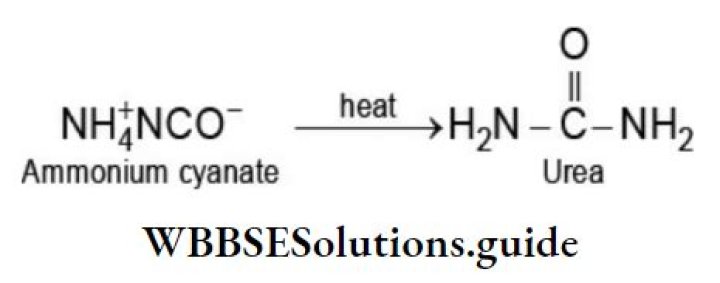 Who synthesized acetic acid?