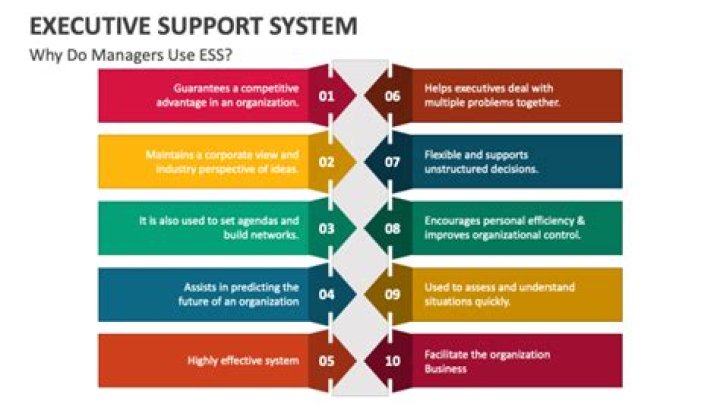 Who uses executive support system
