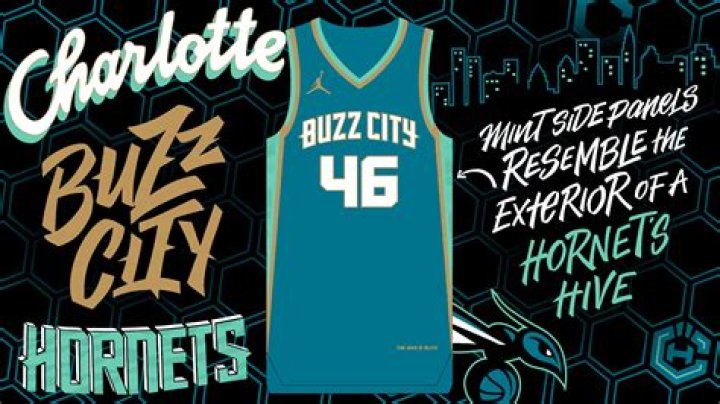 Why are the Charlotte Hornets called the Hornets?