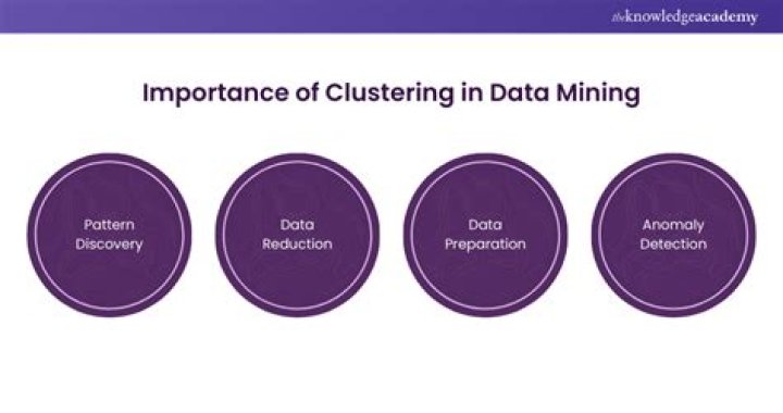Why Clustering is important in data mining?