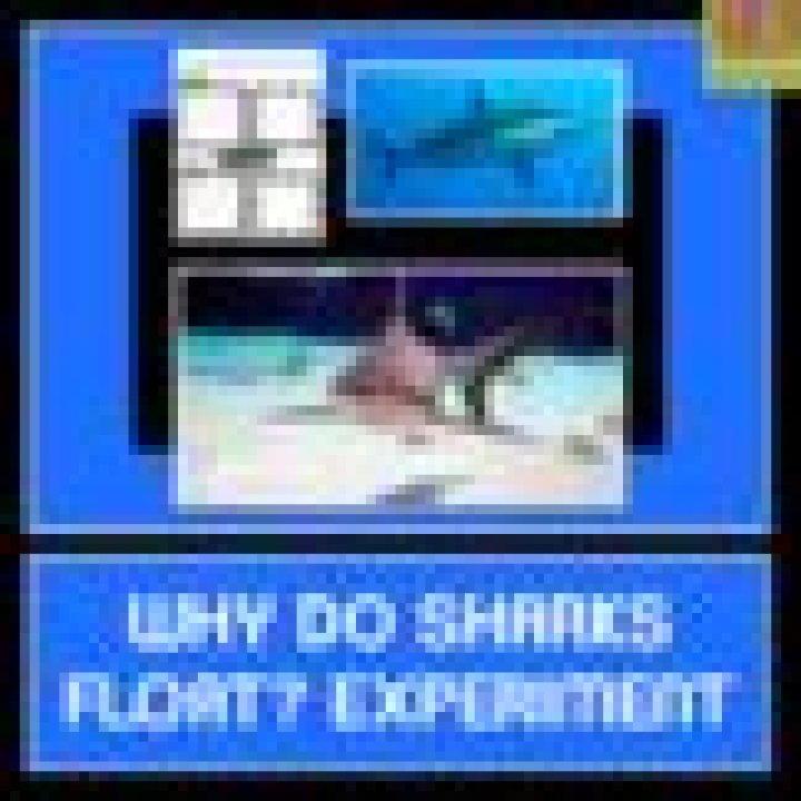 Why do sharks float experiment