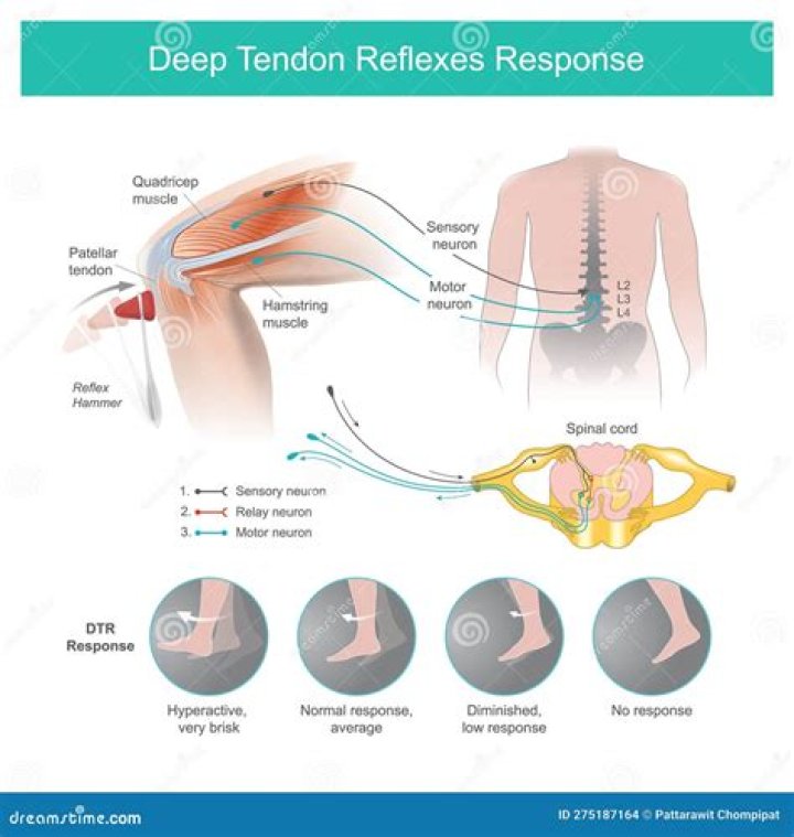 Why do we check deep tendon reflexes?