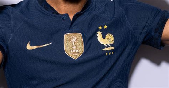 Why does France have a rooster on soccer jersey?