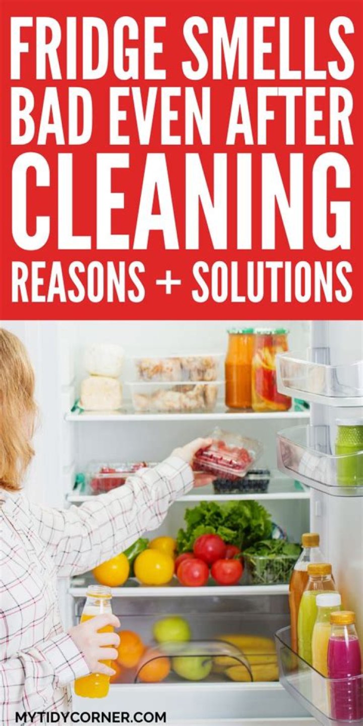 Why does the back of my fridge smell?