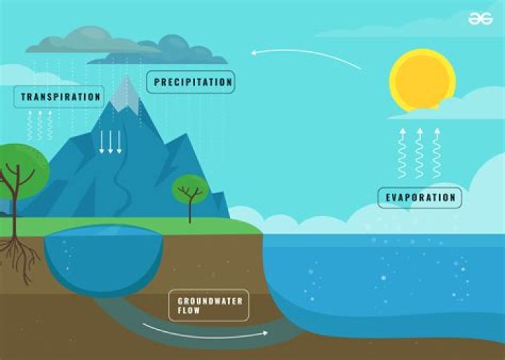 Why is evaporation important in the water cycle