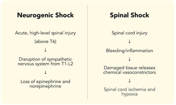 Why is neurogenic shock threatening