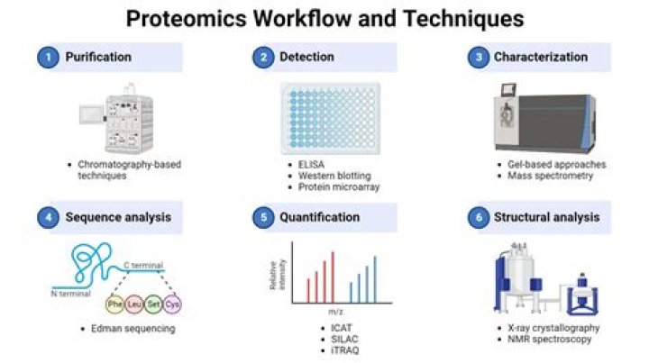 Why is proteomics better than genomics?