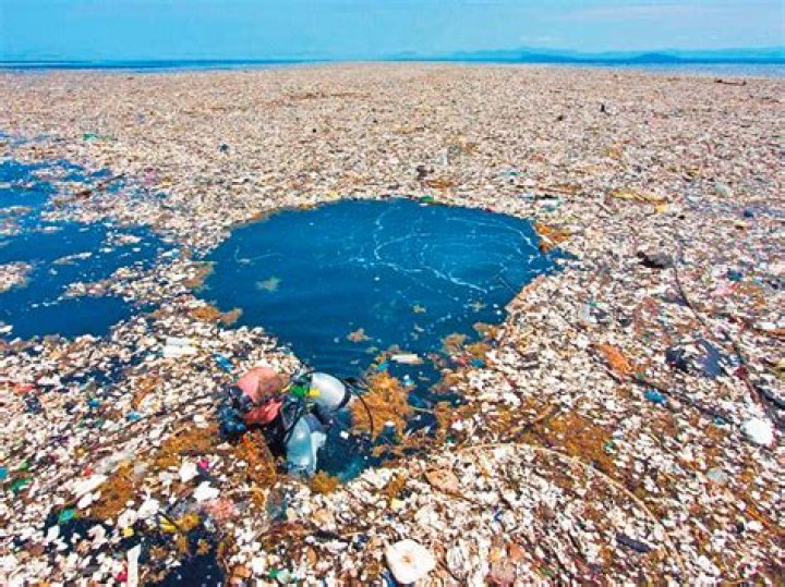 Why is the Pacific garbage patch a problem
