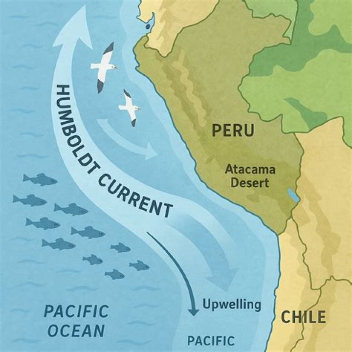 Why is the Peru Current A cold current