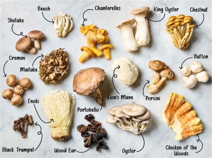 Will mushrooms make me fat