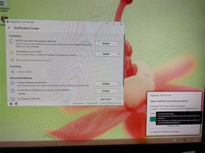 Win32/Kryptik.HITV