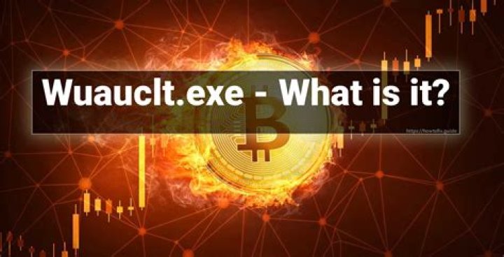 Wuauclt.exe file. How to remove Wuauclt.exe?